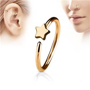 Zlacený piercing do nosu/ucha kruh s hvězdou