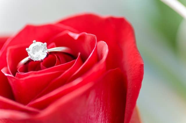 Zásnubní prsten položený na květu červené růže